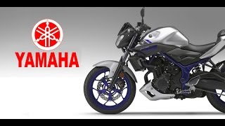 Yamaha MT03 Review [upl. by Ertha805]