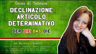 Lezione Tedesco 1  Cosè una declinazione  Declinazione articolo determinativo [upl. by Natividad247]