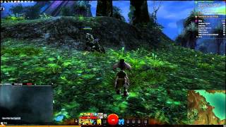 Gw2 Immersive Combat Mode [upl. by Oliviero842]