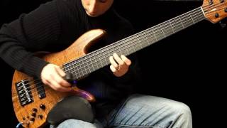 6 String Fretless Bass with Ebow amp Boss Loop Station  ‘Eclipse’ [upl. by Dyann]