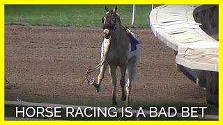 Drugs Breakdowns Death Horse Racing Is a Bad Bet [upl. by Stephi593]