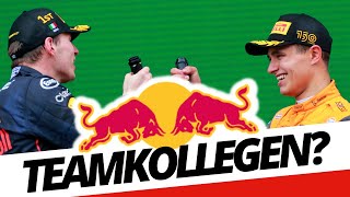 Im MonzaPaddock nachgefragt Wechselt Norris zu Red Bull [upl. by Georgie]