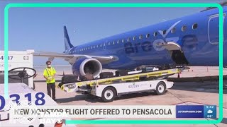 Breeze Airlines starts new nonstop flight to Pensacola from Tampa [upl. by Jordain927]