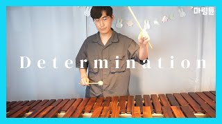 Undertale OST  Determination Marimba Cover [upl. by Ettenot221]