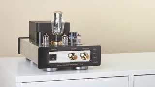 前胆后石 Tri T3F Tube Preamp With ICEPower Amp Driving Finch Audio Shop Speakers [upl. by Richard808]