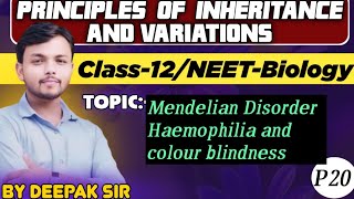 Principles of inheritance and variations Part 21haemophilia amp colour blindness class12 neet [upl. by Shiller]