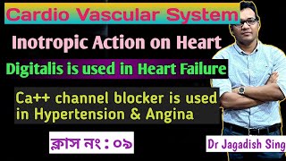 Inotropic Effects on Cardiac Muscle [upl. by Margaret103]