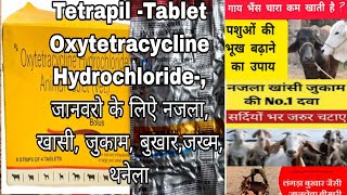 Oxytetracycline Hydrochloride Tablets Tetrapil tablets for Animal Use जानवरो मे उपयोग ली जाने वाली [upl. by Airitac863]