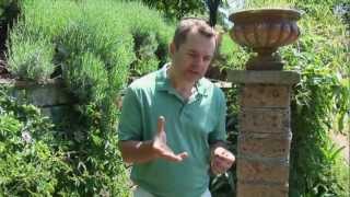 Natural Growth  Ask Ian Video Series [upl. by Veronike371]