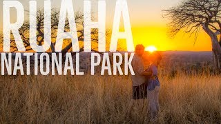 Tanzania Ruaha National Park  African Safari Diary 5 [upl. by Ark765]