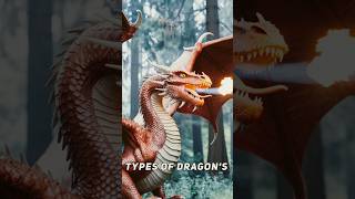 TYPES OF DRAGONS dragon creature dragons [upl. by Haramat]