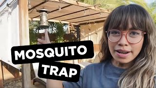 DynaTrap Mosquito amp flying Insect Trap Review Should you buy this [upl. by Amahs517]