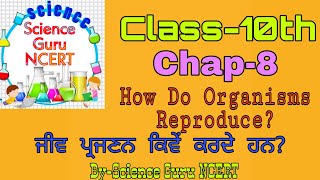 Class10 Chap8 How do organisms Reproduce ਜੀਵ ਪ੍ਰਜਣਨ ਕਿਵ਼ੇਂ ਕਰਦੇ ਹਨ Part1 PSEB NCERT Science [upl. by Arhoz514]