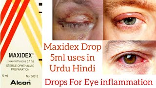 Maxidex Drops Suspension uses in Urdu Hindi [upl. by Eelame]