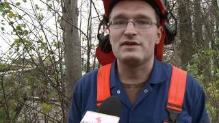 Cursus zagen voor bomen van kerels [upl. by Janeczka]