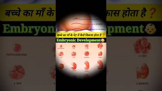 Embryonic Development ll बच्चे का माँ के पेट में❓विकास होता है ll fetalgrowth youtubeshorts [upl. by Cha66]