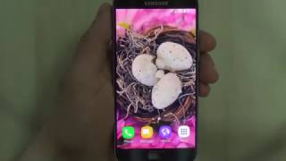 Easter live wallpaper  free Easter theme wallpaper for Android phones and tablets [upl. by Savory]