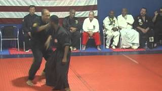 Cary Hiroyuki Tagawa Seminar [upl. by Laresa]