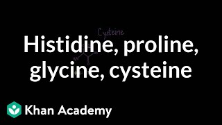 Special cases Histidine proline glycine cysteine  MCAT  Khan Academy [upl. by Negris309]