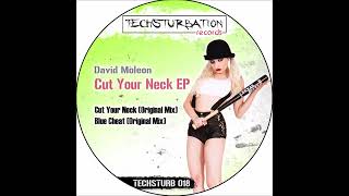 David Moleon  Blue Cheat TECHSTURB018 [upl. by Zeiger]