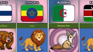 National animal icon of different countries dataampcomparison nationalanimal [upl. by Llenrep689]