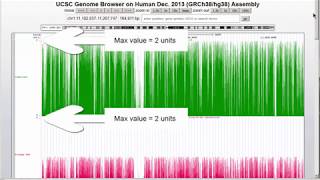 Track Collection Tool at the UCSC Genome Browser  Quick Start [upl. by Charlotta305]