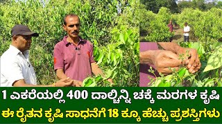 1 ಎಕರೆಯಲ್ಲಿ 400 ದಾಲ್ಚಿನ್ನಿ ಚಕ್ಕೆ ಮರಗಳು  ಕಡಿಮೆ ಖರ್ಚಿನ ದಾಲ್ಚಿನ್ನಿ ಕೃಷಿ  cinnamon farming in kannada [upl. by Nickerson247]