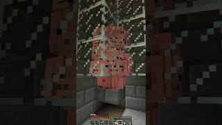 Pig Spawner Farm minecraftbeta [upl. by Ellehcil]