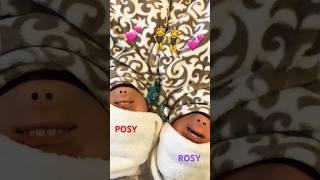 ROSY AND POSY ANSWER QUESTIONS funny [upl. by Biles58]