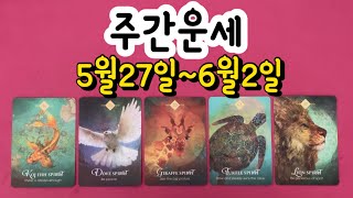 타로주간운세 2024년 5월 마지막주 5월27일5월26일 땡큐타로 주간운세입니다 [upl. by Yeldar428]