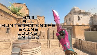 All Huntsman Knife Skins in CS2 [upl. by Kronick961]