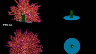 Model of actin nucleation during endocytosis [upl. by Benita]