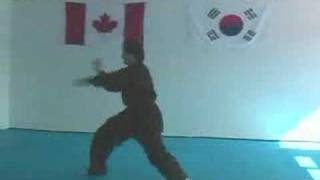 Hapkido Soft Style Forms DVD [upl. by Laux250]