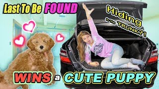 Last To Be Found Wins CUTE Baby PUPPY Tannerites Hide And Seek GAME [upl. by Roma]