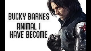 Bucky Barnes  Animal I Have Become [upl. by Yllut]