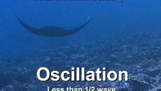 Undulation vs Oscillation [upl. by Ankney]