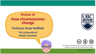 10H  Causes of chromosome rearrangements II [upl. by Ellekcir]