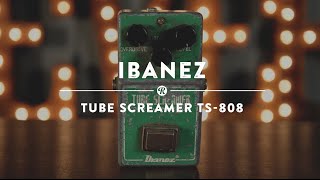 Ibanez TS808 Tube Screamer  Reverb Demo Video [upl. by Alarise339]