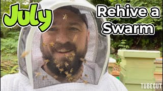 Moving an Angry Swarm to a full size Hive and a few stings for the trouble [upl. by Averi]