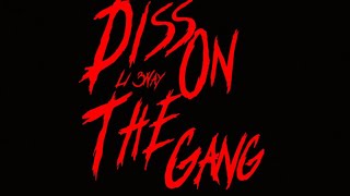 Li 3wayDISS ON THE GANG official Visualizer [upl. by Gant960]