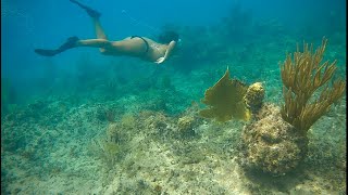 Vieques Puerto Rico Snorkeling [upl. by Anatole]