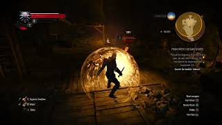 Witcher 3  Quest breaking BUG no diagrams glitch From Ofiers Distant Shores Hearts of Stone [upl. by Gerda]