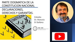 PARTE DOGMATICA DE LA CONSTITUCION NACIONAL PREAMBULO DECLARACIONES DERECHOS Y GARANTIAS [upl. by Abehsat]