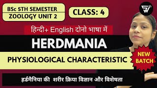 HERDMANIA or Sea SquirtPhysiological CharacteristicsBSc 5th Semester Unit 2 [upl. by Ahsei]