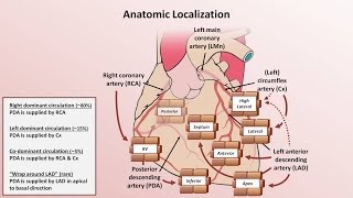 Intro to EKG Interpretation  Myocardial Infarctions Part 1 of 2 [upl. by Mikey]