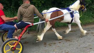 Appleby Horse Fair Friday 2018 [upl. by Acinad]