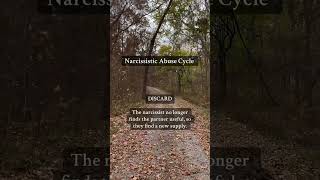 The Narcissistic Abuse Cycle narcissist mentalabuse mentalhealth mentalhealthawareness [upl. by Ahseuqal697]