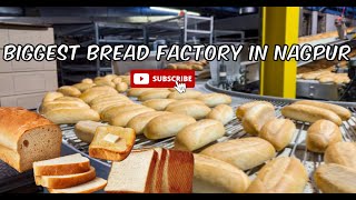 Making Millions of Bread in a Gigantic Factory  Behind the Scenes 🍞 BreadMaking Process [upl. by Enaols810]