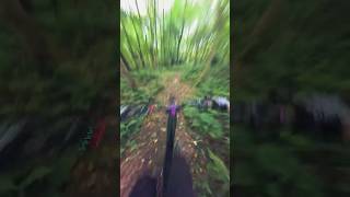 MTB with a 360 camera 📹 [upl. by Jamila]