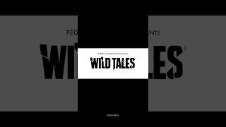 Wild Tales 2014  Harsh Arora talks shorts [upl. by Lledner]